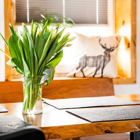 Neu Renoviertes Ferienhaus/Wohnunng Kleine Auszeit Sonnenbühl Zewnętrze zdjęcie